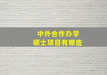 中外合作办学硕士项目有哪些