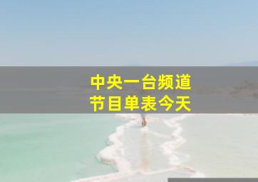 中央一台频道节目单表今天