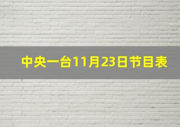 中央一台11月23日节目表