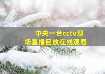 中央一台cctv现场直播回放在线观看