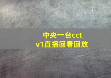 中央一台cctv1直播回看回放