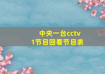 中央一台cctv1节目回看节目表