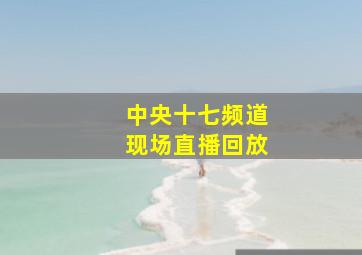 中央十七频道现场直播回放