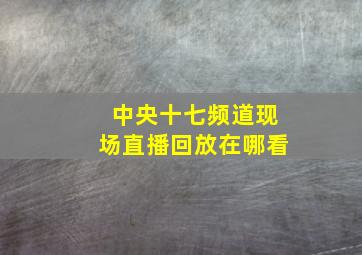 中央十七频道现场直播回放在哪看