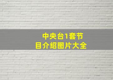 中央台1套节目介绍图片大全