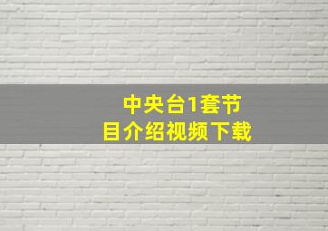 中央台1套节目介绍视频下载