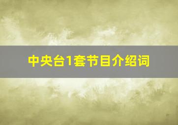 中央台1套节目介绍词