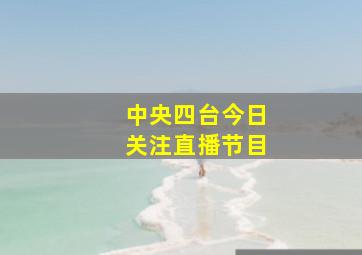 中央四台今日关注直播节目