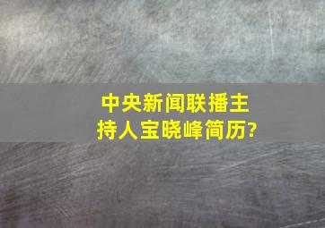 中央新闻联播主持人宝晓峰简历?