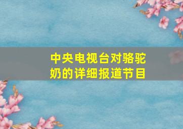 中央电视台对骆驼奶的详细报道节目