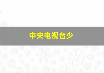 中央电视台少