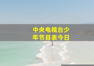 中央电视台少年节目表今日