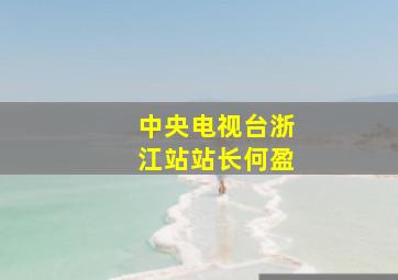 中央电视台浙江站站长何盈