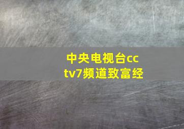 中央电视台cctv7频道致富经