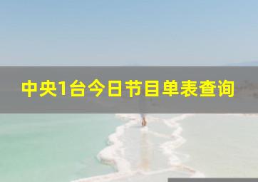 中央1台今日节目单表查询