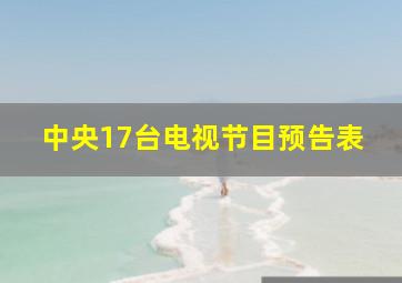 中央17台电视节目预告表