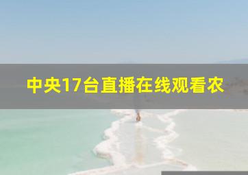 中央17台直播在线观看农