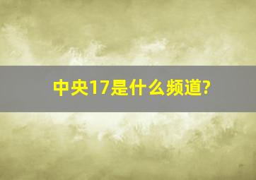 中央17是什么频道?