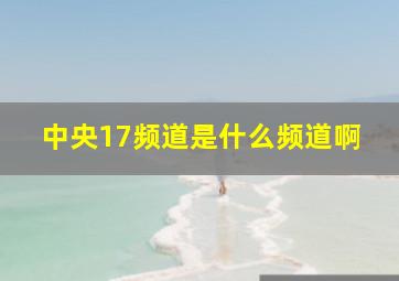 中央17频道是什么频道啊