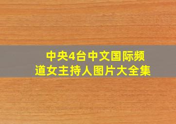 中央4台中文国际频道女主持人图片大全集