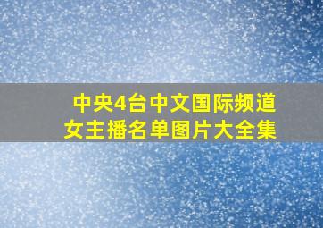 中央4台中文国际频道女主播名单图片大全集