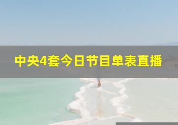 中央4套今日节目单表直播