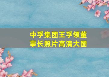 中孚集团王孚领董事长照片高清大图