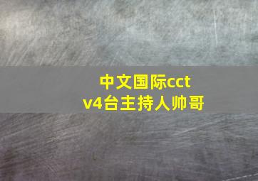 中文国际cctv4台主持人帅哥