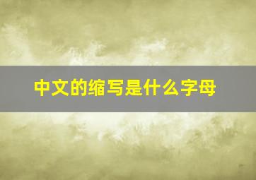 中文的缩写是什么字母