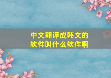 中文翻译成韩文的软件叫什么软件啊