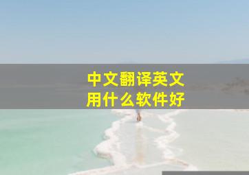 中文翻译英文用什么软件好