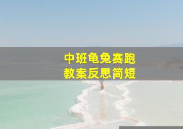 中班龟兔赛跑教案反思简短