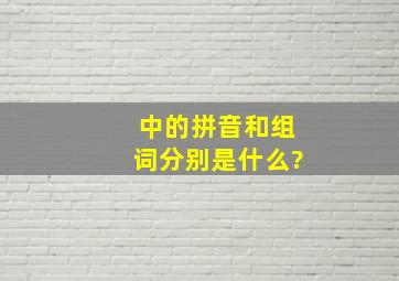 中的拼音和组词分别是什么?