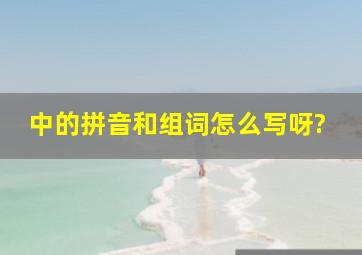 中的拼音和组词怎么写呀?