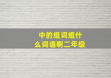 中的组词组什么词语啊二年级