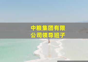 中粮集团有限公司领导班子