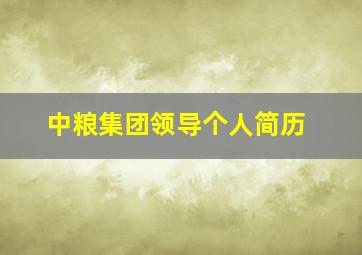 中粮集团领导个人简历