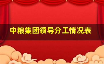 中粮集团领导分工情况表