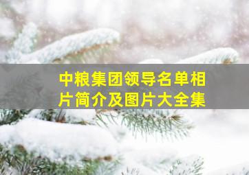 中粮集团领导名单相片简介及图片大全集