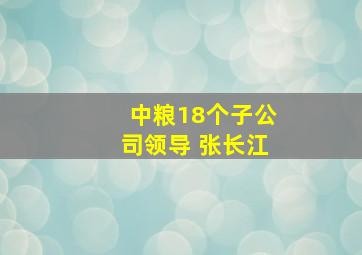 中粮18个子公司领导 张长江