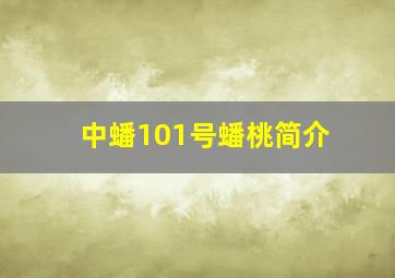 中蟠101号蟠桃简介