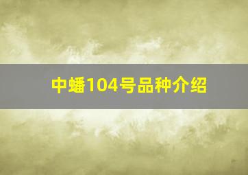 中蟠104号品种介绍