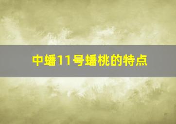 中蟠11号蟠桃的特点