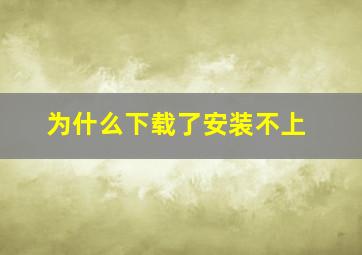 为什么下载了安装不上