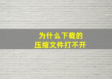 为什么下载的压缩文件打不开