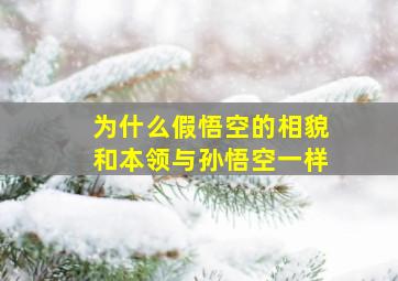 为什么假悟空的相貌和本领与孙悟空一样