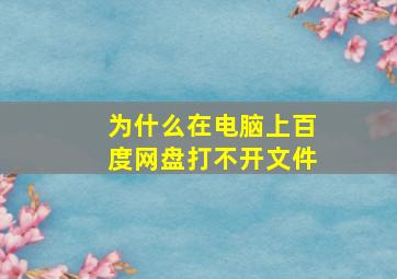 为什么在电脑上百度网盘打不开文件