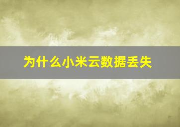 为什么小米云数据丢失