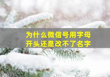 为什么微信号用字母开头还是改不了名字