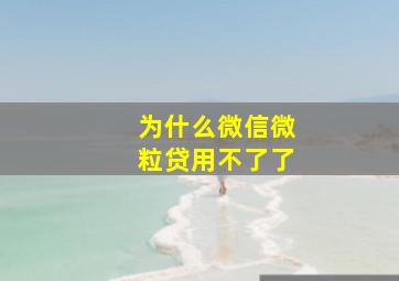 为什么微信微粒贷用不了了